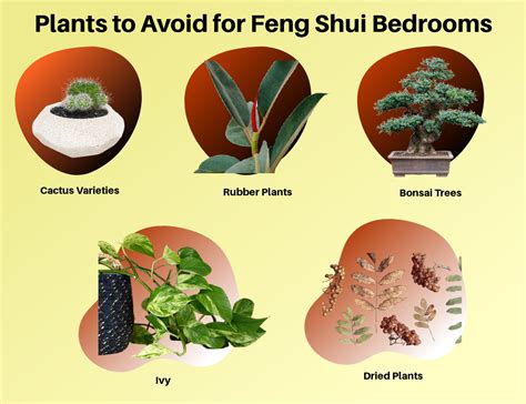 风水英语|“风水”的英文翻译为何直接叫“feng shui”？